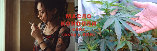 дмт Вяземский