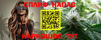 гидра Беслан