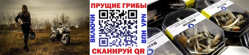 OMG ССЫЛКА  Джанкой  Галлюциногенные грибы мицелий 