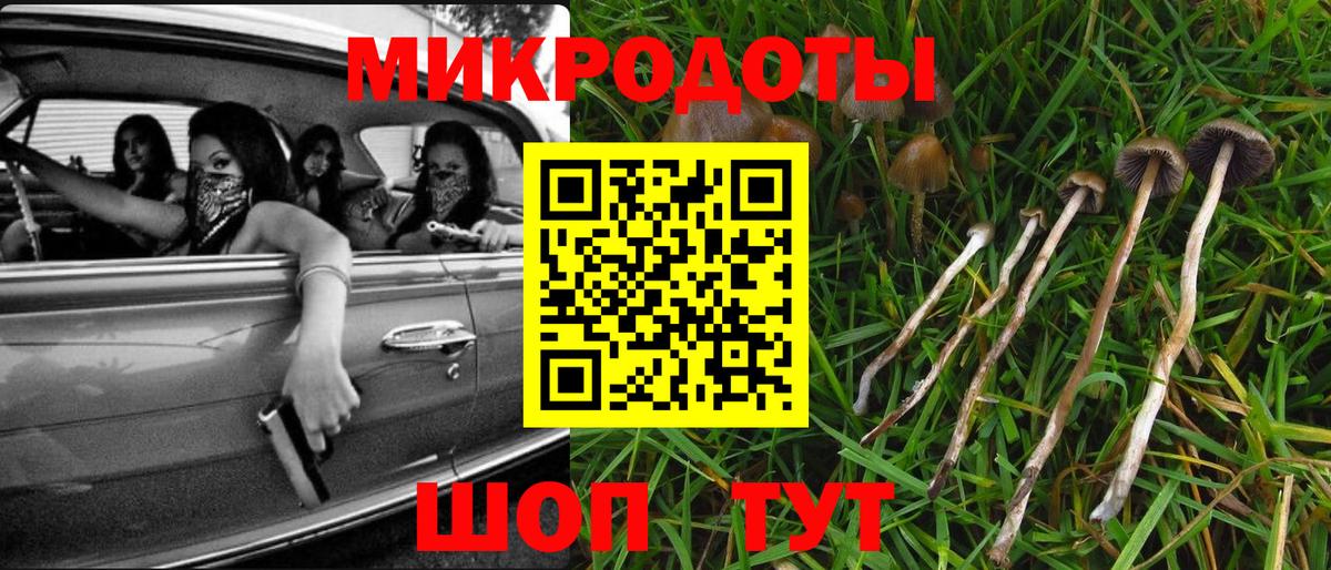 Псилоцибиновые грибы GOLDEN TEACHER Джанкой