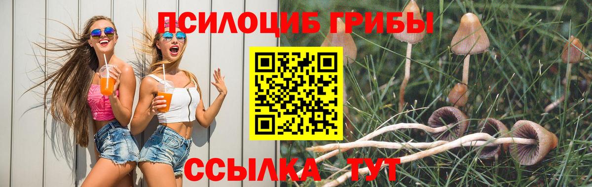 Джанкой  Галлюциногенные грибы Magic Shrooms  Вход с VPN 